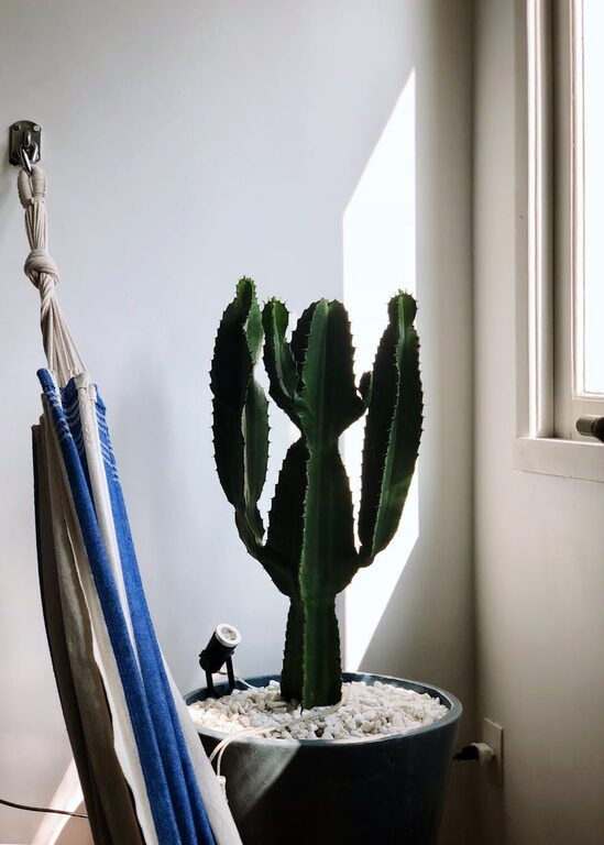 Quick Ideas to Brighten a Dark Room and Make It Feel Inviting